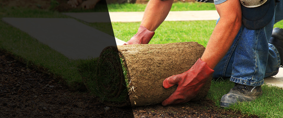 Resaca Landscapers